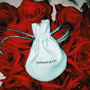 Tiffany & Co. jewelry pouch.